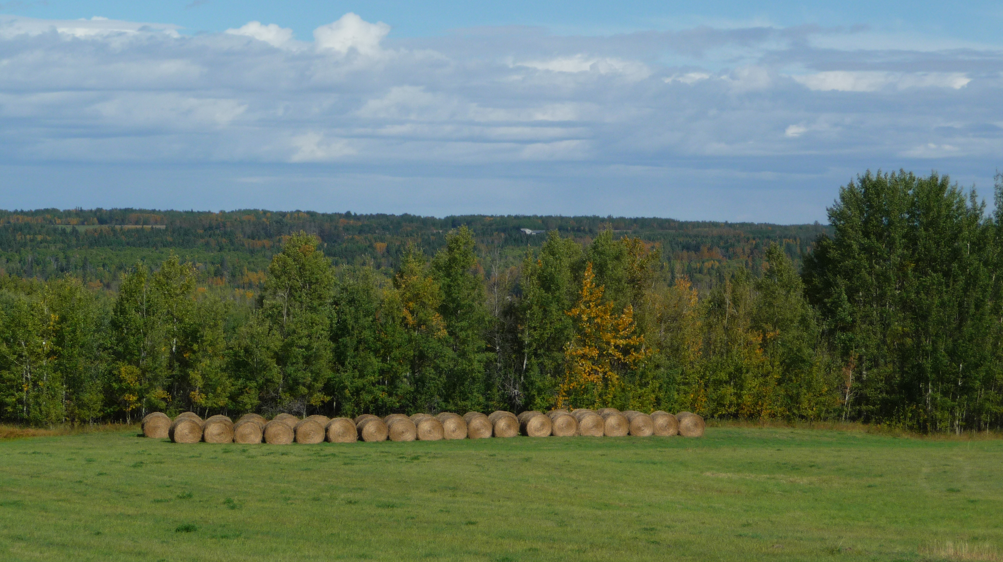 battle lake 4 h centre (2) cropped